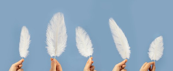 Natural feathers: a touch of elegance for every space