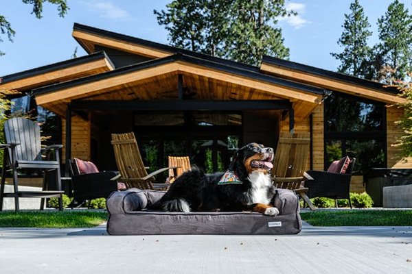 How to Create a Safe and Inviting Terrier-Proof Garden?